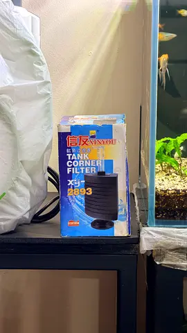 Aquarium Corner Air Sponge Filter for Sale