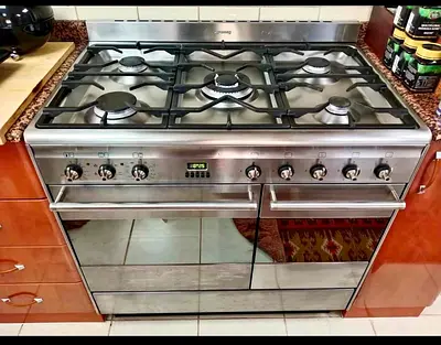 My stainless steel 5-burner gas range with double oven, working condition