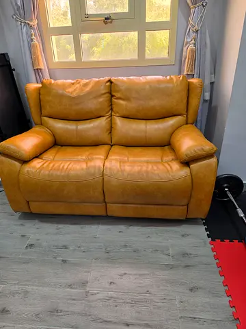 Tan Leather 2-Seater Sofa - Gently Used