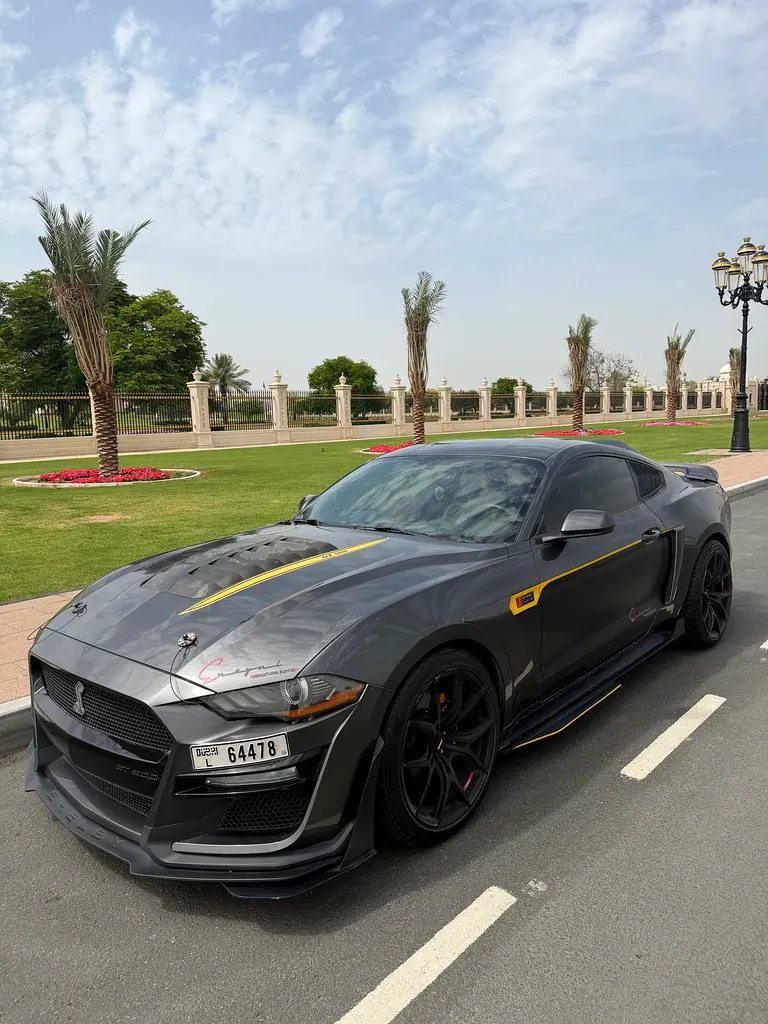 Ford Mustang 2019 — photo 1 of 19