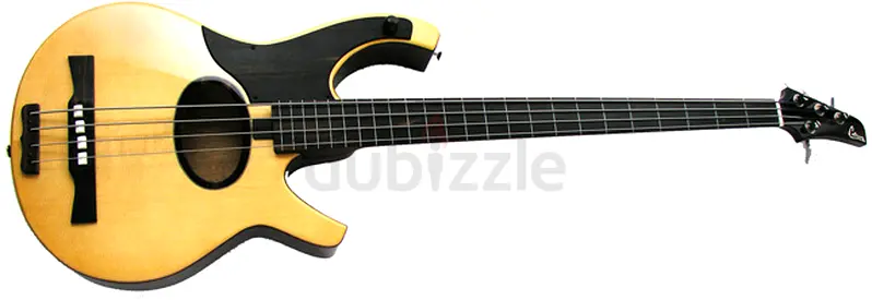 Citron Guitar Brand New AED-220