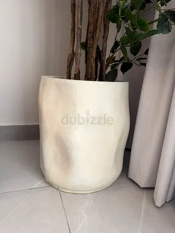 Plant Pot