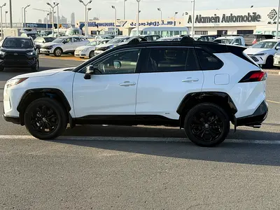 2023 Toyota RAV 4 照片 8