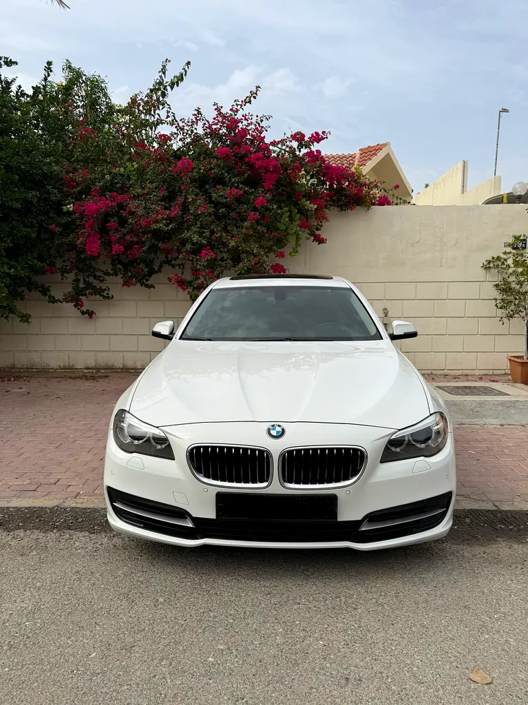 BMW 5-Series 2015 — photo 1 of 12