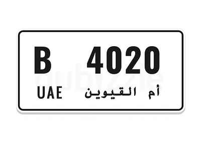 4020  code B UAQ