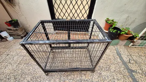 collapsible strong metal pet cage with wheels