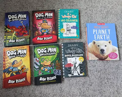 Collection of Childrens Books - Dog Man and Diary of a Wimpy Kid