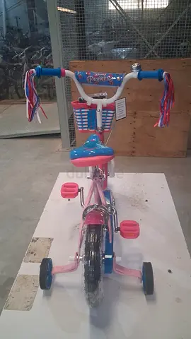 Kids Pink and Blue Bicycle with Basket