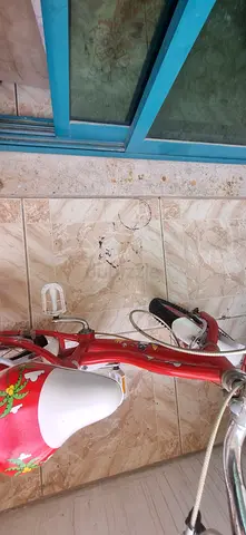 Cycle with basket and balancing wheels