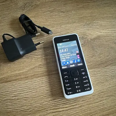 Nokia 301 Dual SIM classic