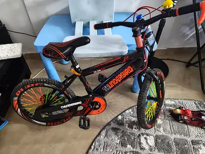 My kids Thunderbird bike — good condition
