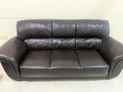 3 Seater + 1 Seater Sofa Set