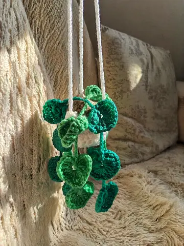 Crochet hanging plant 💚
