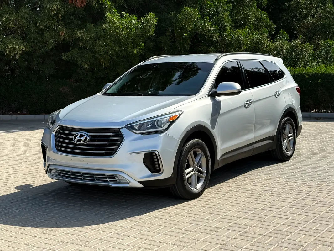 Hyundai Santa Fe 2019 — photo 1 of 20