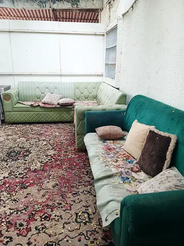 Stylish Green Sofa Set with Vintage Carpet