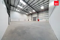 Rare Size | Multiple Options | Ded