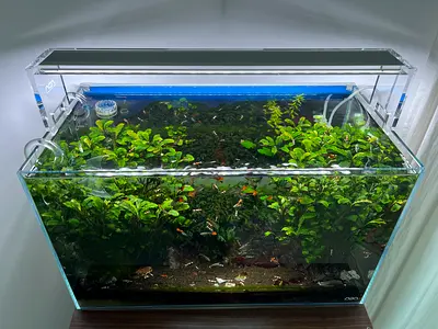 Professional fully equipped aquascaping aquarium set