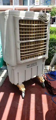 Outdoor electric fan