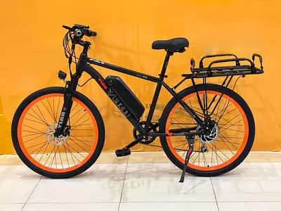 Electric hybrid bike