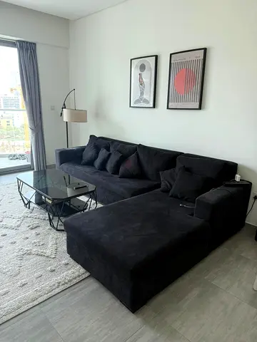 Living room couch