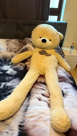 2m Teddy bear