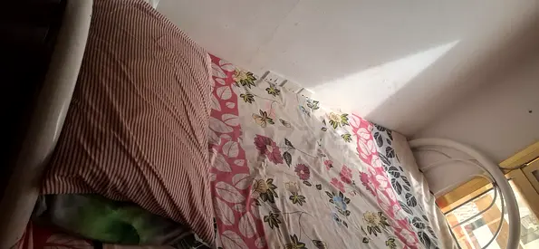 Single bed with mattress (used)