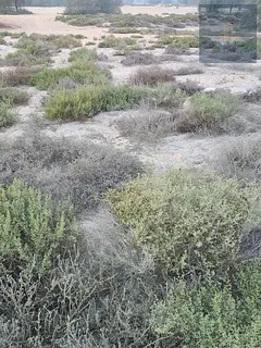 Residential land for sale in Al-Fariyah, Ras Al Khaimah