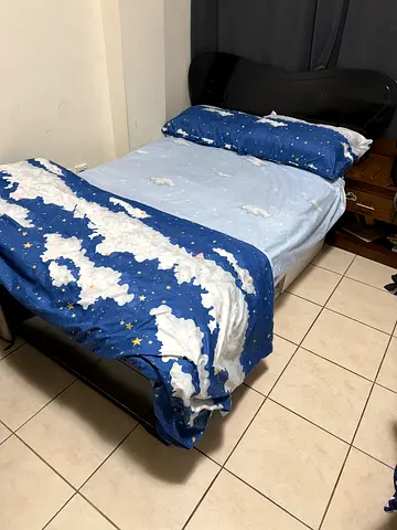Bed frame with mattress - good condition