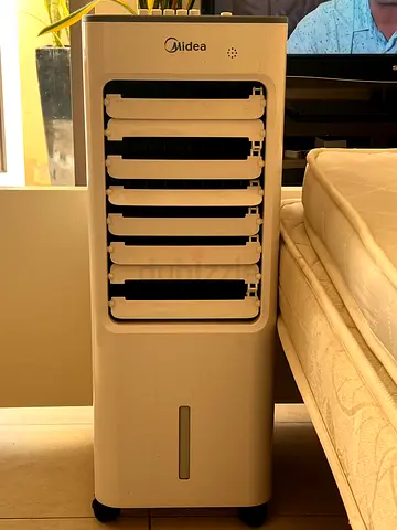 Ice air cooler
