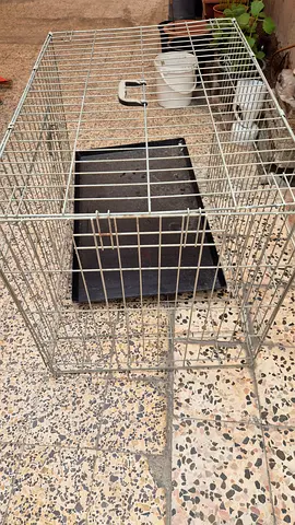 Metal foldable cage with removable plastic tray