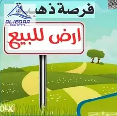 🏡 Land for Sale in Al Manama – Basin 4 – Ajman ✨ Great opportunity to build a villa or for 