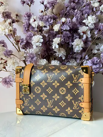 Louis vuitton side trunk MM handbag