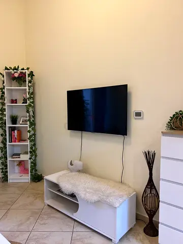 Wall-mounted flat panel TV - working condition
