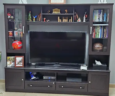 TV unit