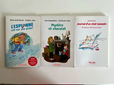 Set of 3 French books