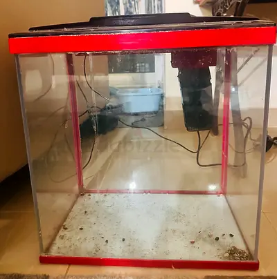 Used Aquarium for Sale