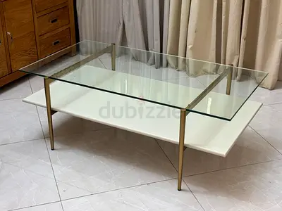 West Elm mid century art display coffee table