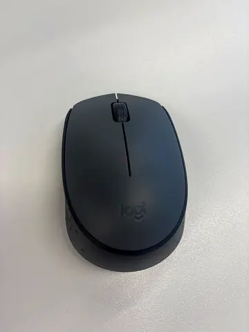 Mouse