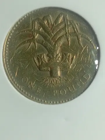 One Pound Coin with Plant Motif - Collectible (Circulated)