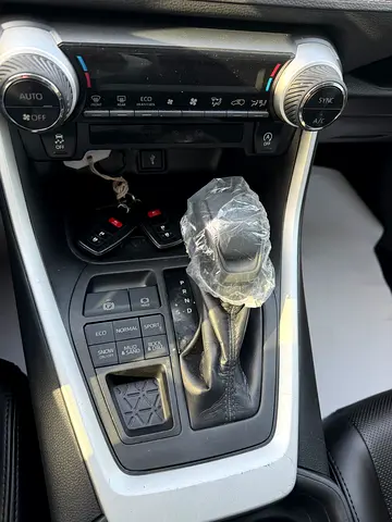 2020 Toyota RAV 4 照片 16