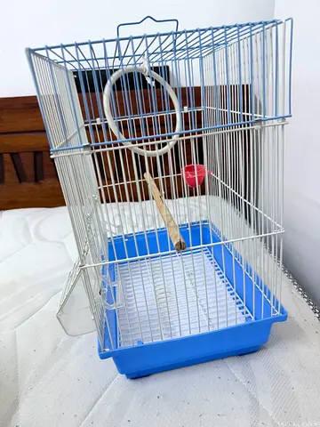 Bird Cage for Sale
