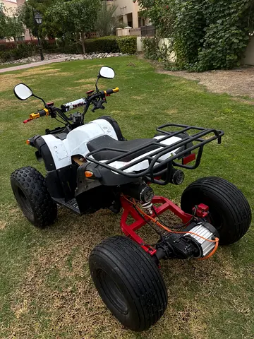 Affordable electric quad ATV (not stock) good for kids and teens