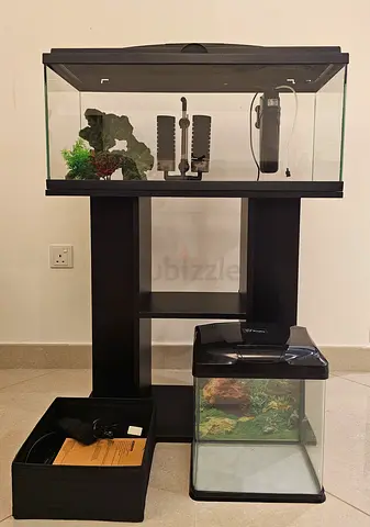Aquarium For Sale (including Accessories)