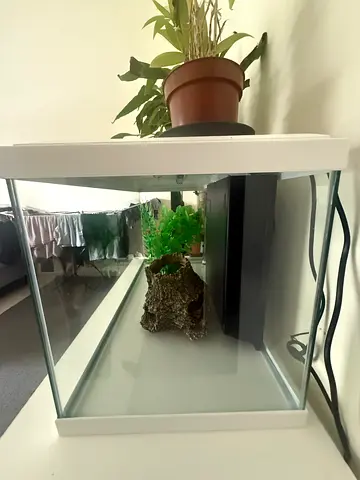 Small glass aquarium with LED hood and filter (used)