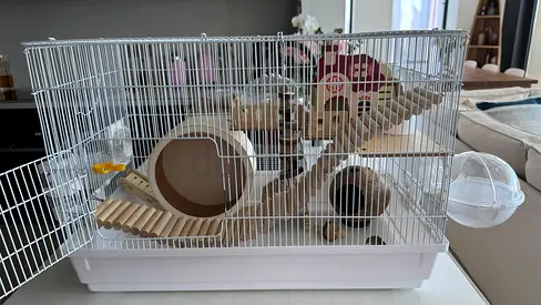 Hámster cage