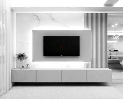 Modernist TV Unit