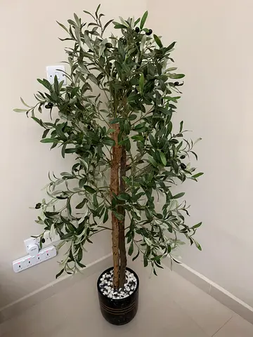 Potted Artificial Olive Tree - Tall Faux Plant - 160 cm