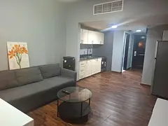 NO COMMISSION LUXURY FURNITURED APT. SEA VIEW