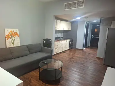 NO COMMISSION LUXURY FURNITURED APT. SEA VIEW