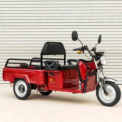 Electric Tricycle Cargo
